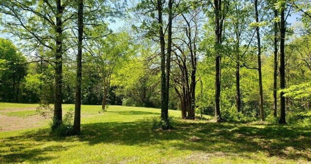 2734 Lanton Schoolhouse Rd, Spring Hill, TN 37174 - photo 4