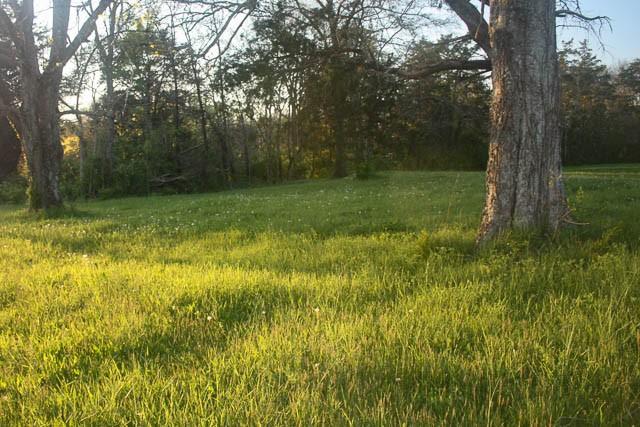 2734 Lanton Schoolhouse Rd, Spring Hill, TN 37174 - photo 14