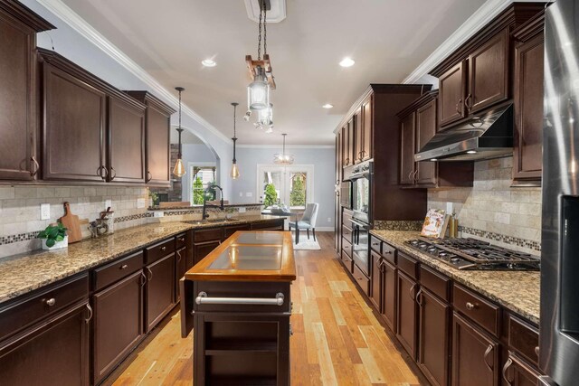 5000 Moretto Ct, Spring Hill, TN 37174 - kitchen featuring under cabinet range hood, appliances with stainless steel finishes, arched walkways, dark brown cabinets, and light wood-style floors