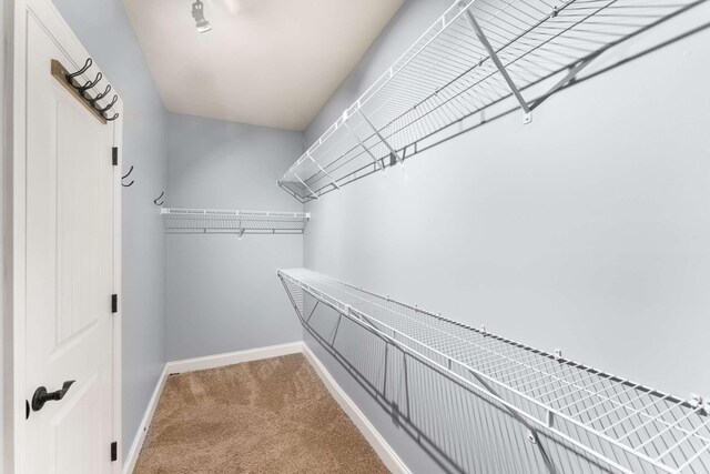 5000 Moretto Ct, Spring Hill, TN 37174 - spacious closet with carpet floors
