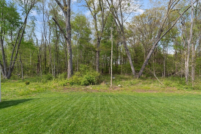 3534 Pepper Glendale Dr, Murfreesboro, TN 37128 - photo 34