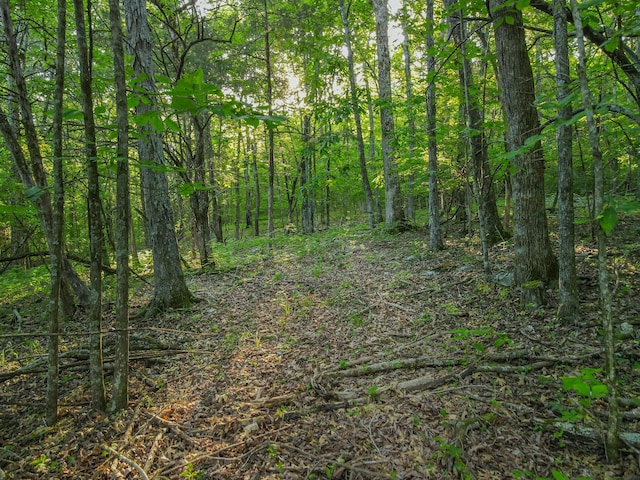 304 Fuss Hollow Rd, Petersburg, TN 37144