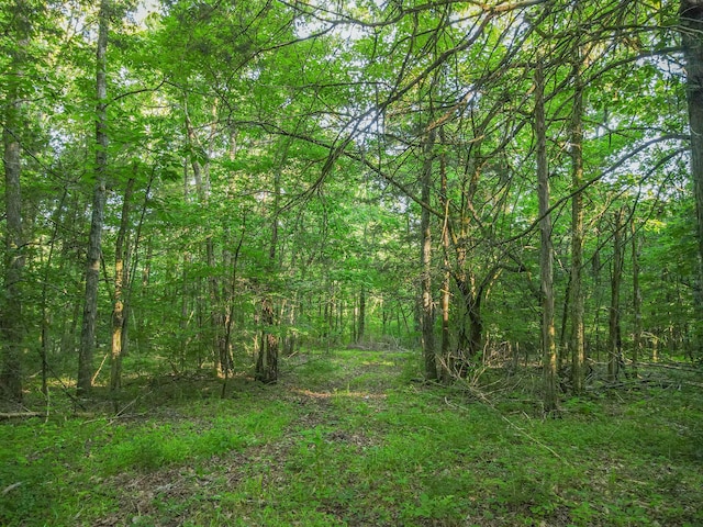 304 Fuss Hollow Rd, Petersburg, TN 37144