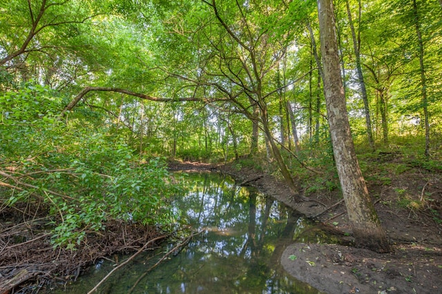 304 Fuss Hollow Rd, Petersburg, TN 37144