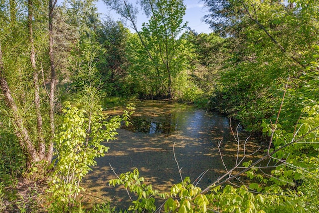 304 Fuss Hollow Rd, Petersburg, TN 37144
