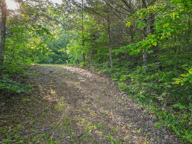 304 Fuss Hollow Rd, Petersburg, TN 37144