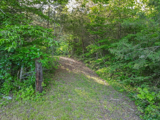 304 Fuss Hollow Rd, Petersburg, TN 37144