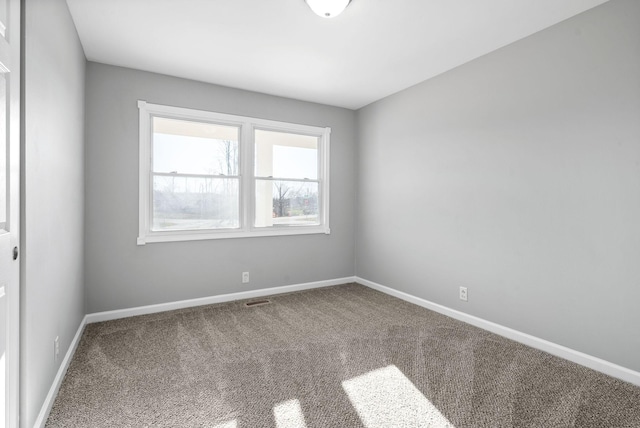 116 Peggy Dr, Clarksville, TN 37042 - photo 22