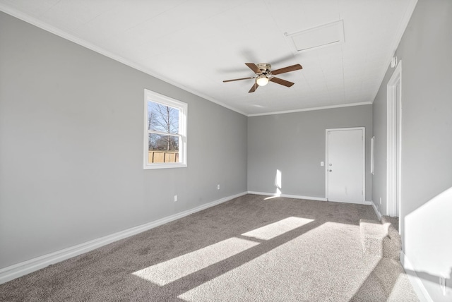 116 Peggy Dr, Clarksville, TN 37042 - photo 28