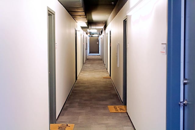 1900 12th Ave S Unit 219, Nashville, TN 37203 - hall with wood finished floors