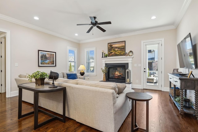 living area with ceiling fan, crown molding, a glass covered fireplace, and dark wood-type flooring