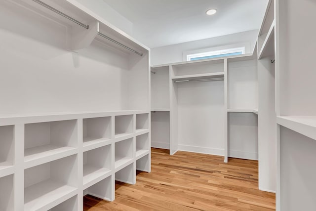 spacious closet featuring wood finished floors