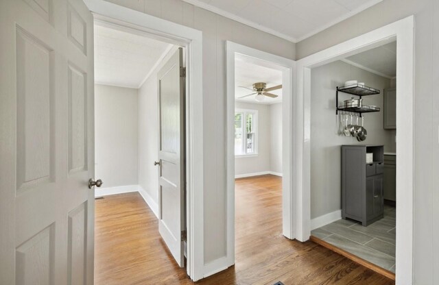 1901 Cherry St, Columbia, TN 38401 - corridor with crown molding, light wood-style flooring, and baseboards