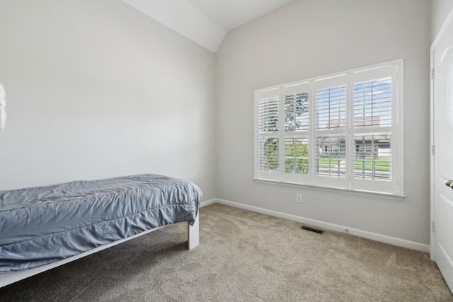 2142 Gold Valley Dr, Murfreesboro, TN 37130 - carpeted bedroom featuring visible vents, baseboards, lofted ceiling, and multiple windows