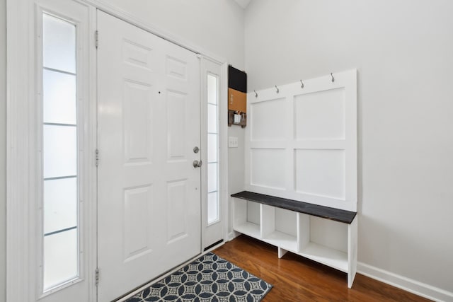 2142 Gold Valley Dr, Murfreesboro, TN 37130 - entrance foyer with a wealth of natural light and dark wood-type flooring