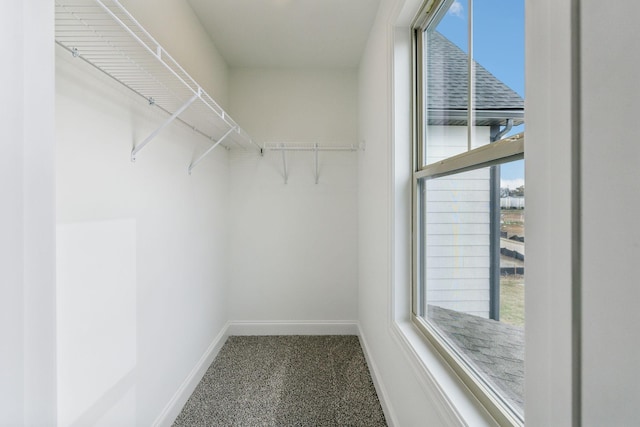 view of spacious closet