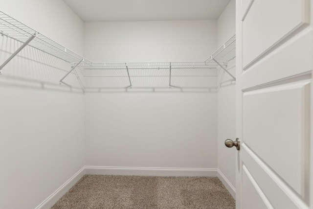 spacious closet with light colored carpet