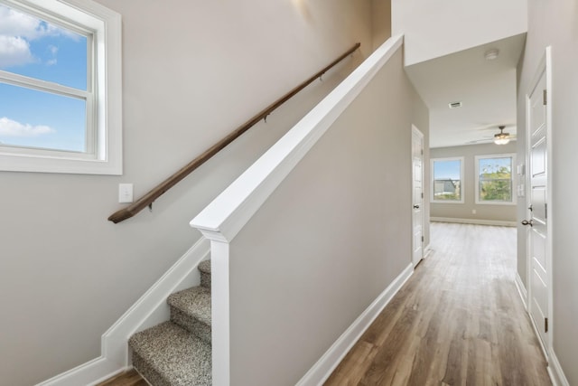 stairway featuring wood finished floors, baseboards, and ceiling fan