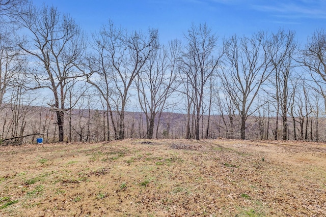 369 Talpha Dr, Dowelltown, TN 37059 - view of yard featuring a rural view