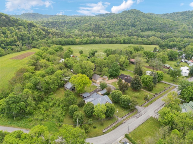 448 E Main St, Liberty, TN 37095 - photo 92