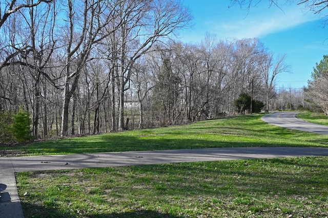 4310 Memory Ln, Adams, TN 37010 - view of street