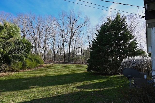 4310 Memory Ln, Adams, TN 37010 - view of grassy yard