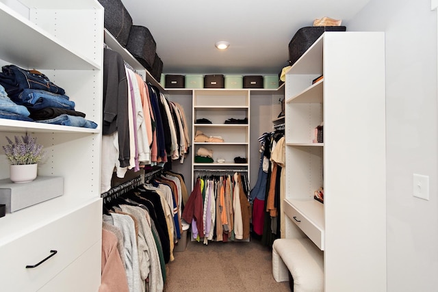 spacious closet with carpet floors