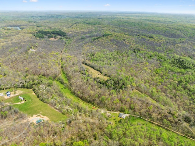 5822 Fly Hollow Rd, Santa Fe, TN 38482 - photo 49