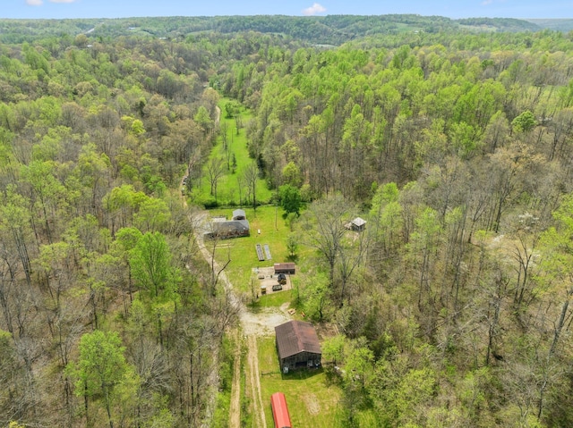 5822 Fly Hollow Rd, Santa Fe, TN 38482 - photo 2