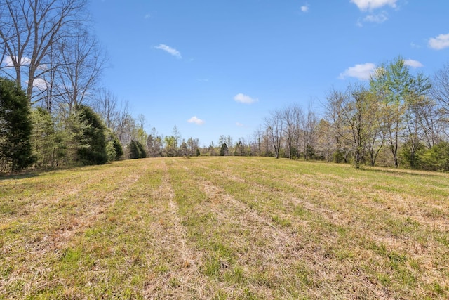 5822 Fly Hollow Rd, Santa Fe, TN 38482 - photo 42