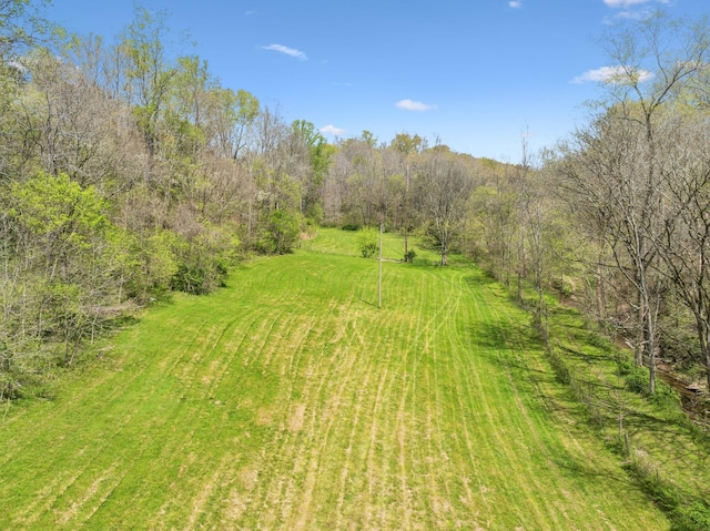 5822 Fly Hollow Rd, Santa Fe, TN 38482 - photo 44