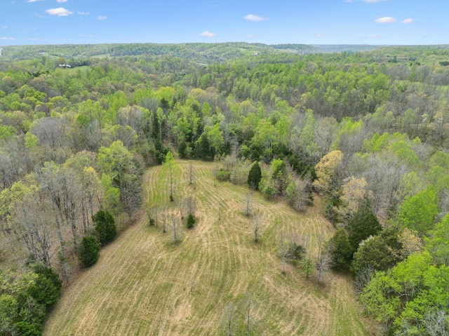 5822 Fly Hollow Rd, Santa Fe, TN 38482 - photo 48