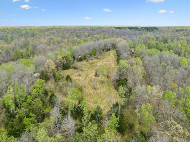 5822 Fly Hollow Rd, Santa Fe, TN 38482 - photo 47