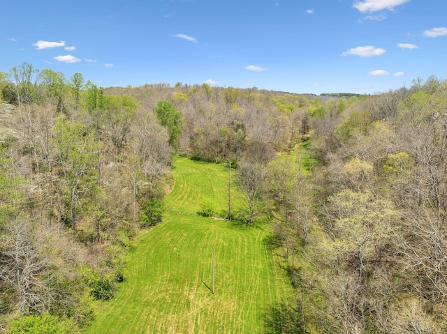 5822 Fly Hollow Rd, Santa Fe, TN 38482 - photo 45