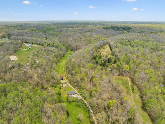 5822 Fly Hollow Rd, Santa Fe, TN 38482 - photo 50