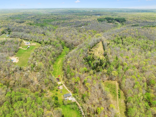 5822 Fly Hollow Rd, Santa Fe, TN 38482 - photo 51