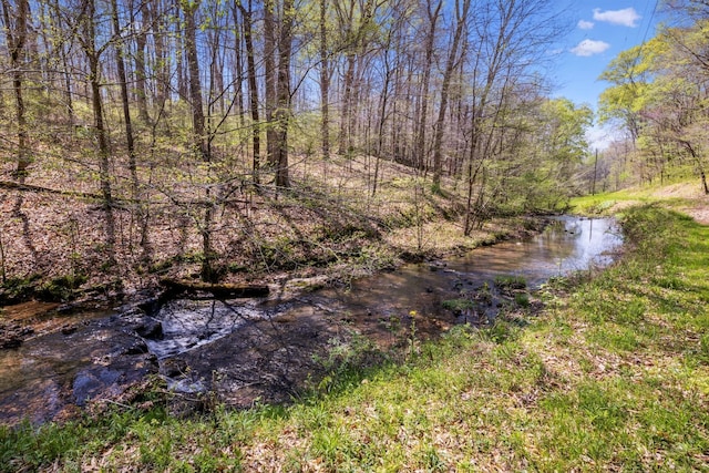 5822 Fly Hollow Rd, Santa Fe, TN 38482 - photo 35