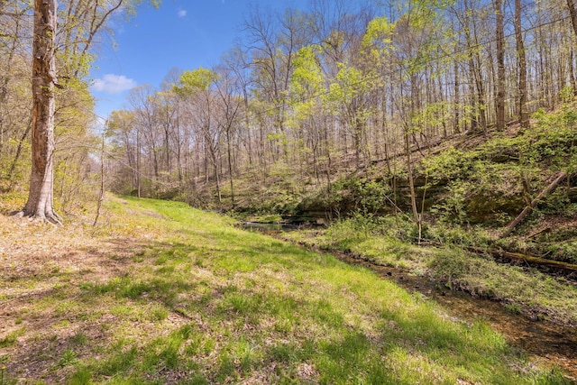 5822 Fly Hollow Rd, Santa Fe, TN 38482 - photo 41