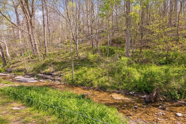 5822 Fly Hollow Rd, Santa Fe, TN 38482 - photo 33