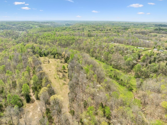 5822 Fly Hollow Rd, Santa Fe, TN 38482 - photo 46