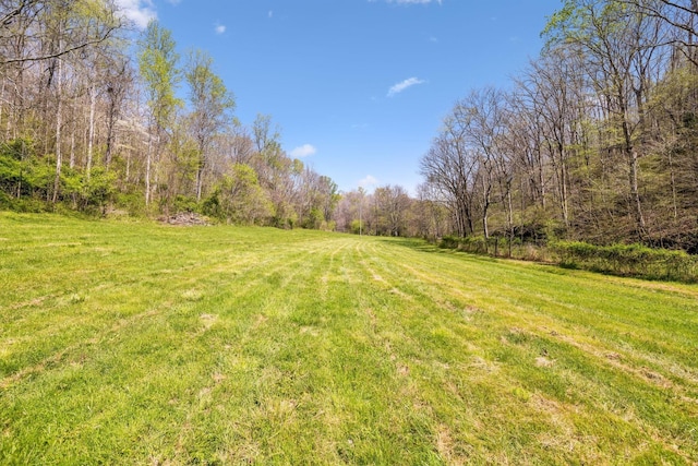 5822 Fly Hollow Rd, Santa Fe, TN 38482 - photo 37