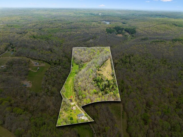 5822 Fly Hollow Rd, Santa Fe, TN 38482 - photo 3