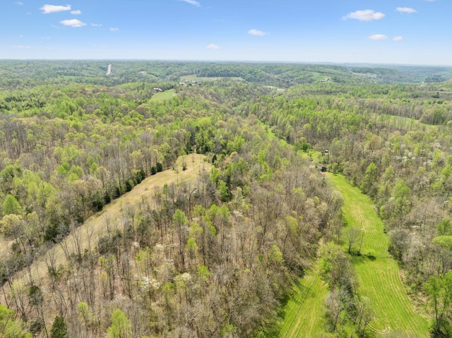 5822 Fly Hollow Rd, Santa Fe, TN 38482 - photo 5