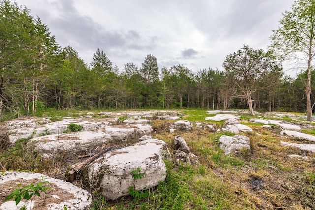 view of nature with a wooded view