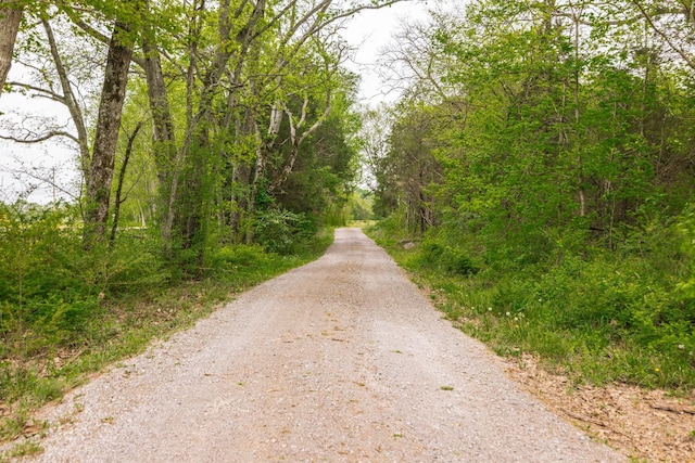 view of street with a forest view
