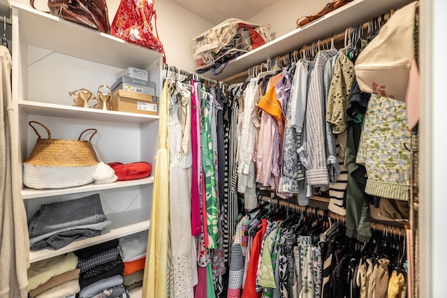 view of spacious closet