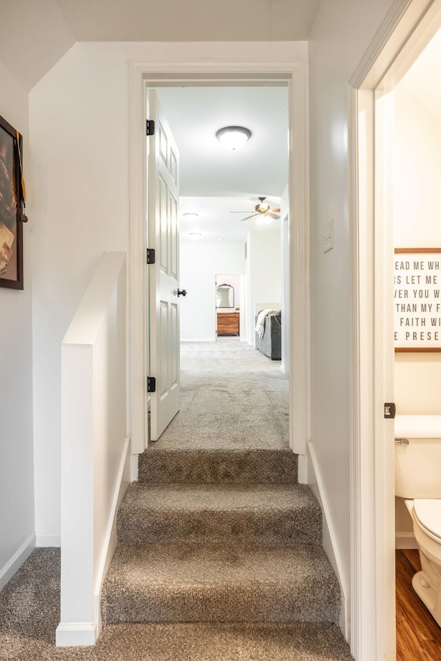 stairs featuring baseboards, a ceiling fan, and carpet