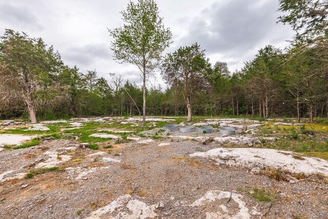 view of yard featuring a wooded view