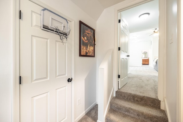 stairs featuring ceiling fan, baseboards, and carpet flooring