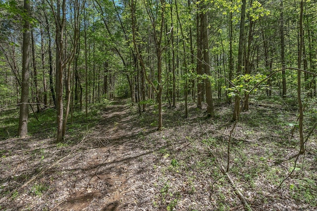 view of nature featuring a view of trees